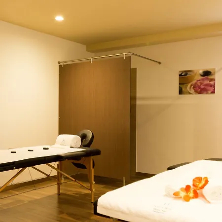 Hotel Steyler & Congress 4*