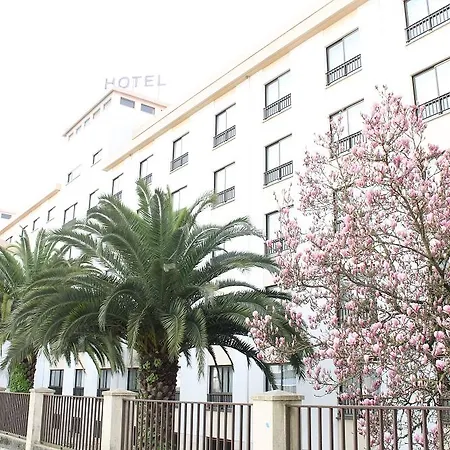 Steyler & Congress Fátima