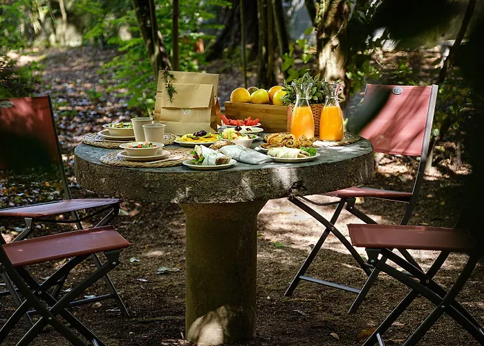 Steyler & Congress Hotel 4*