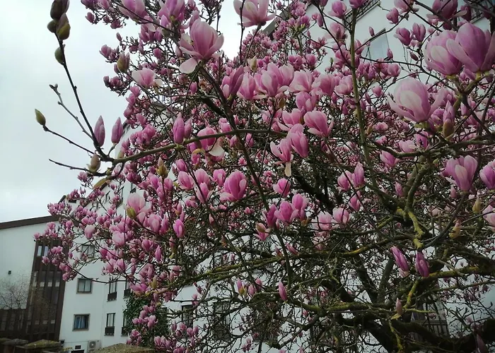 Steyler & Congress Hotel Fátima